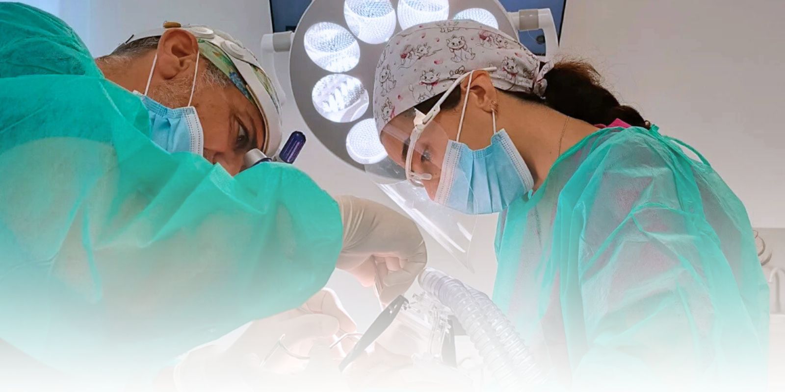 Implantologia monterotondo Smiledoc